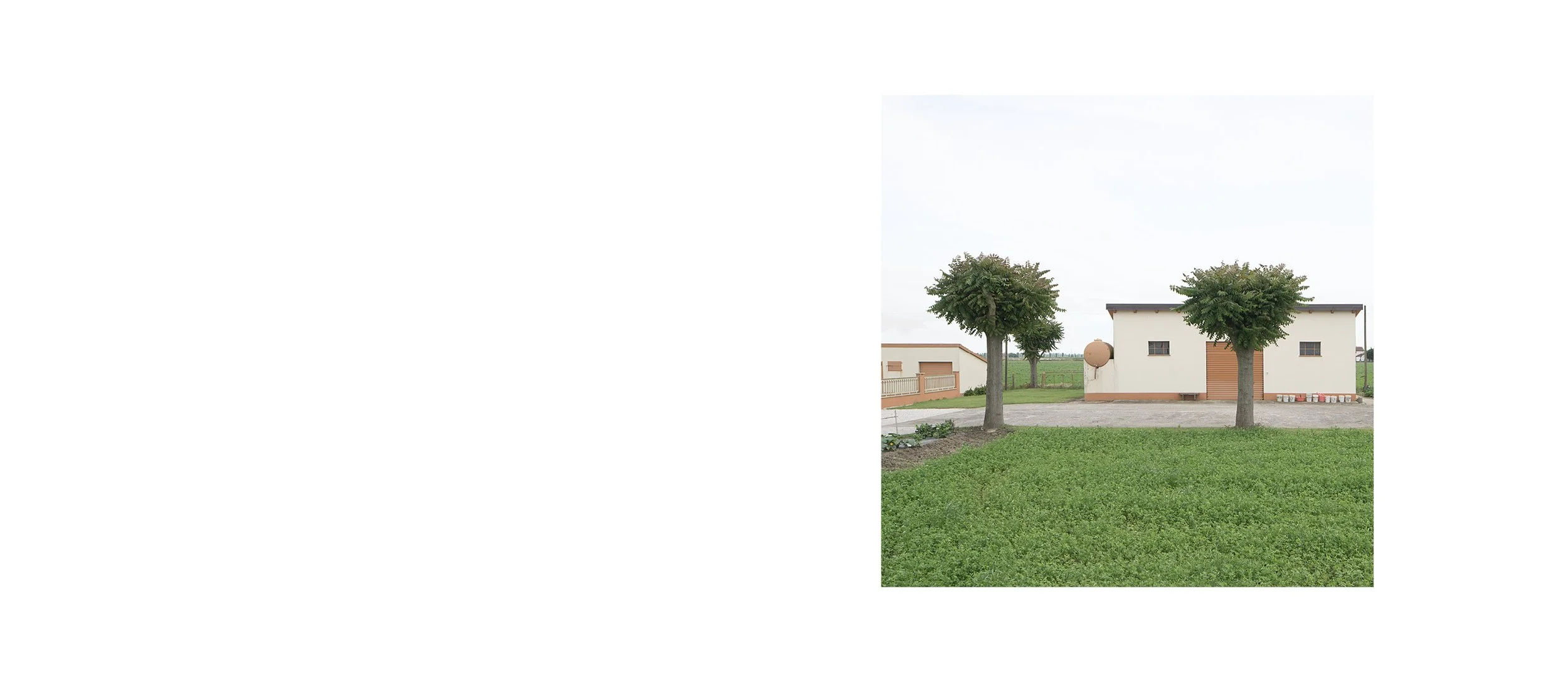 Landscape #217.jpg