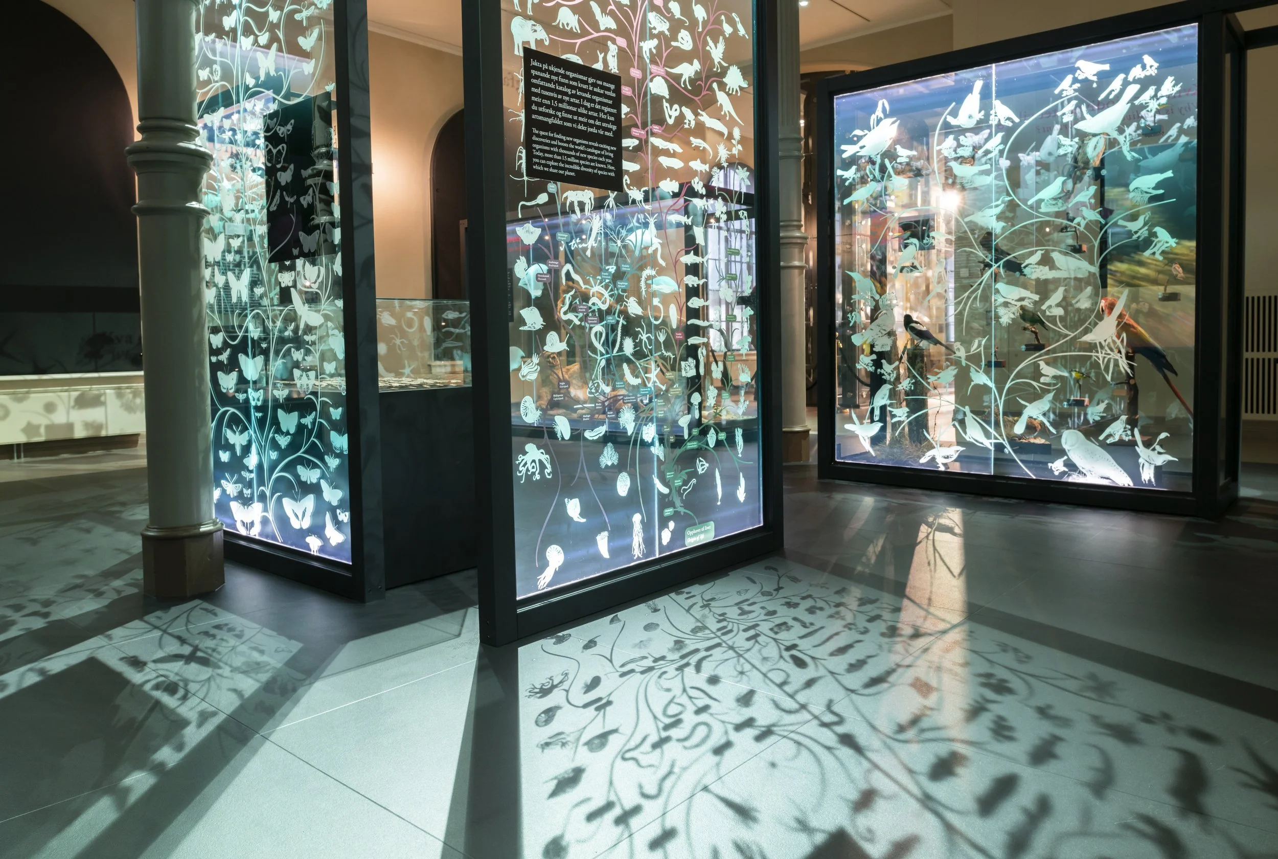 Biologisk_mangfold_29_10_2021_027 copy.jpeg