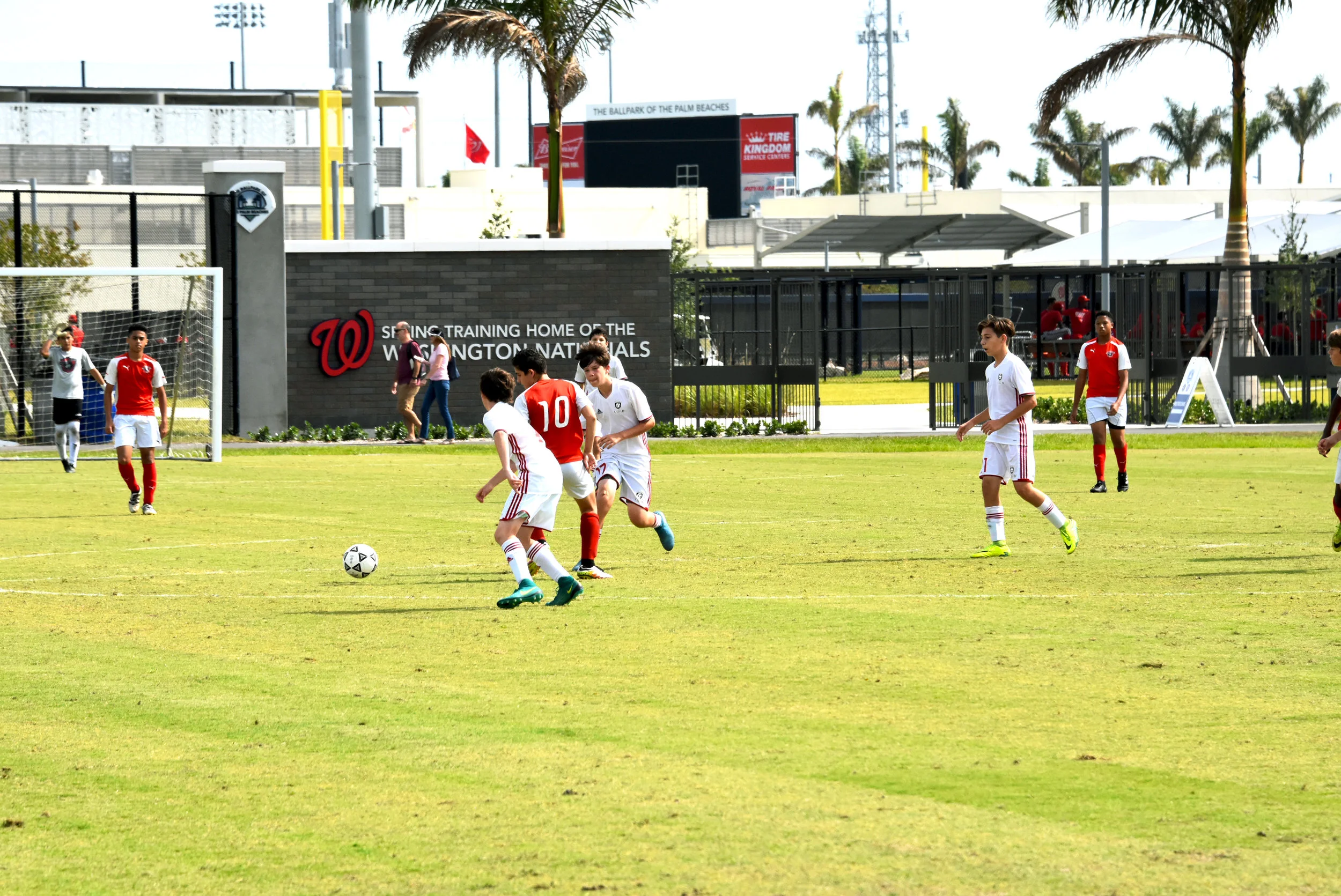 DSC_7544.jpg