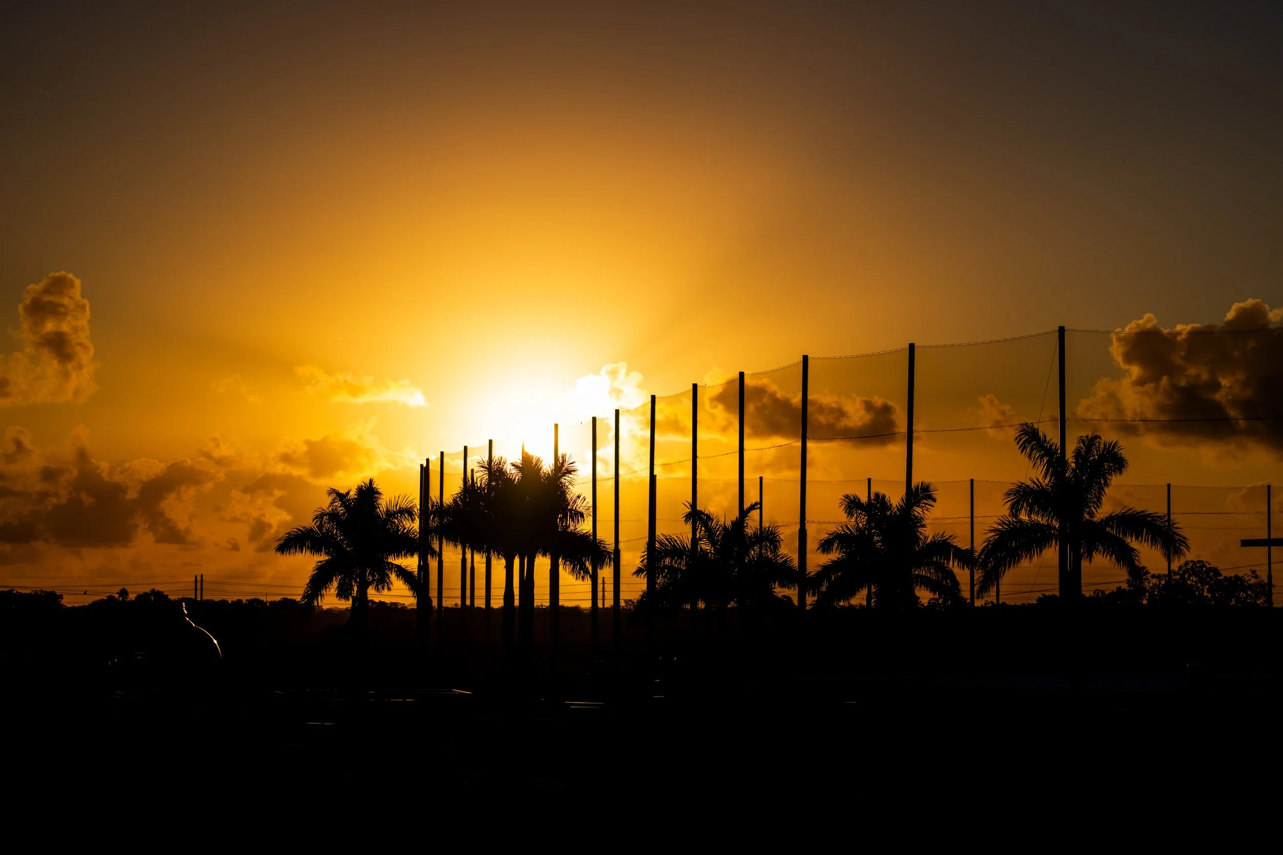CACTI Park of the Palm Beaches Sunset and Baseball Net