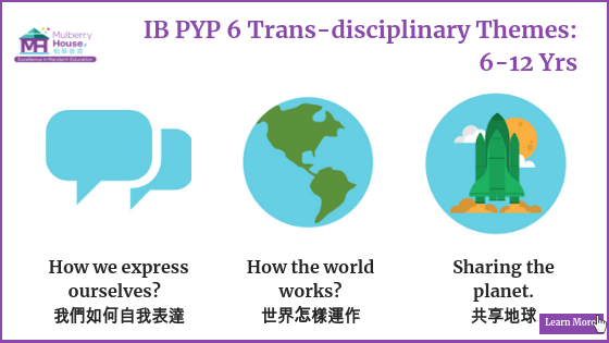 11——v.png