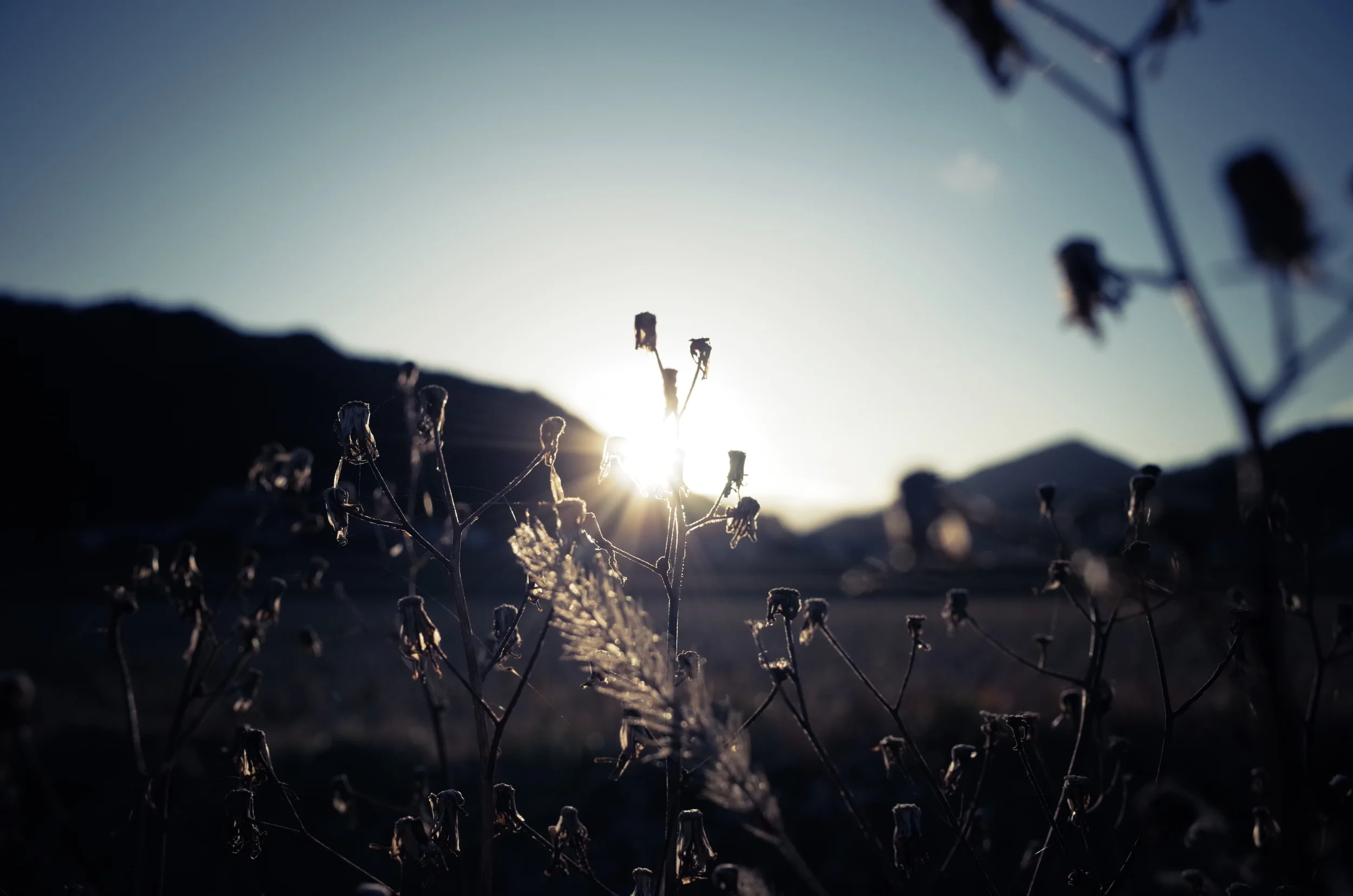 祖母の時間、祖父の記憶