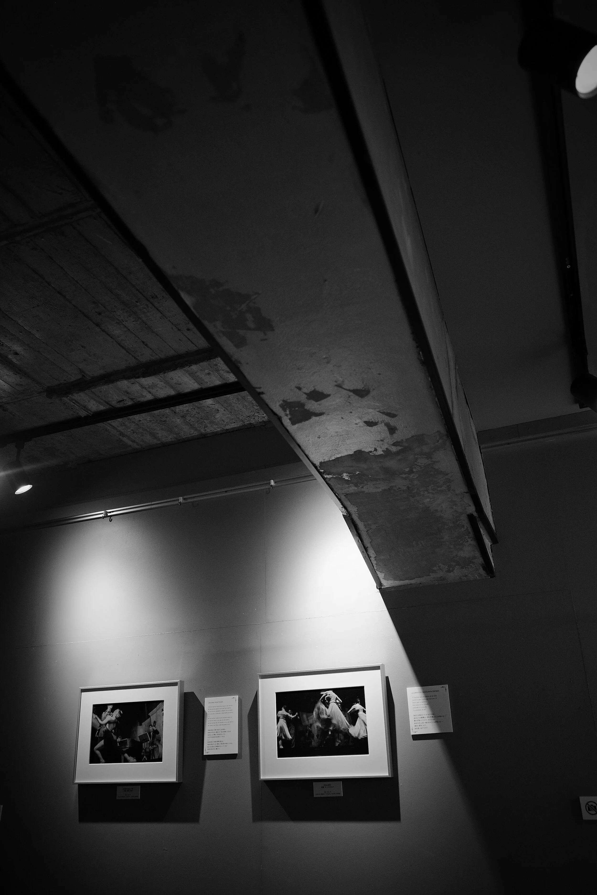 個展 [Breathing Buenos Aires] を振り返る