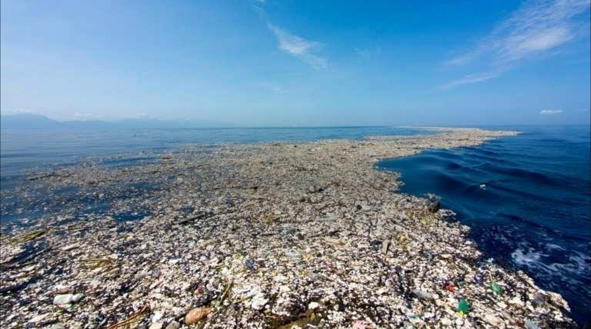 Screenshot (1234).png