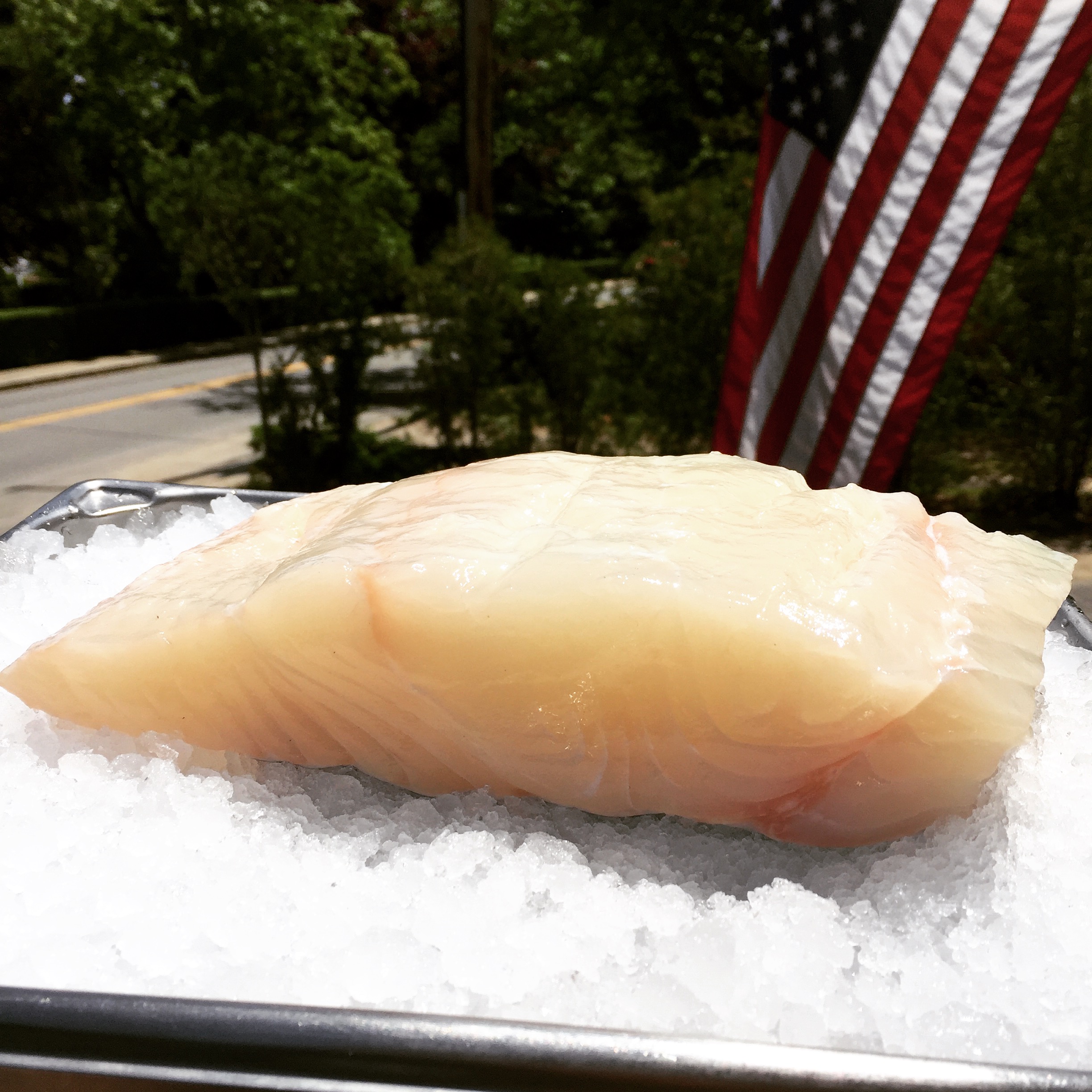 Edgartown Seafood Fish Market Martha's Vineyard