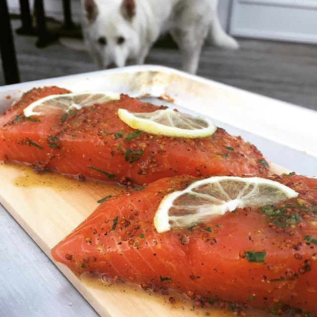 Finally have the weather to try out our new cedar planks. Here we've got some wild-caught Alaskan king salmon, quick cured (always) and glazed with honey, whole grain mustard, lemon zest, black pepper and rosemary. #cedar #salmon #seafood #wildcaught