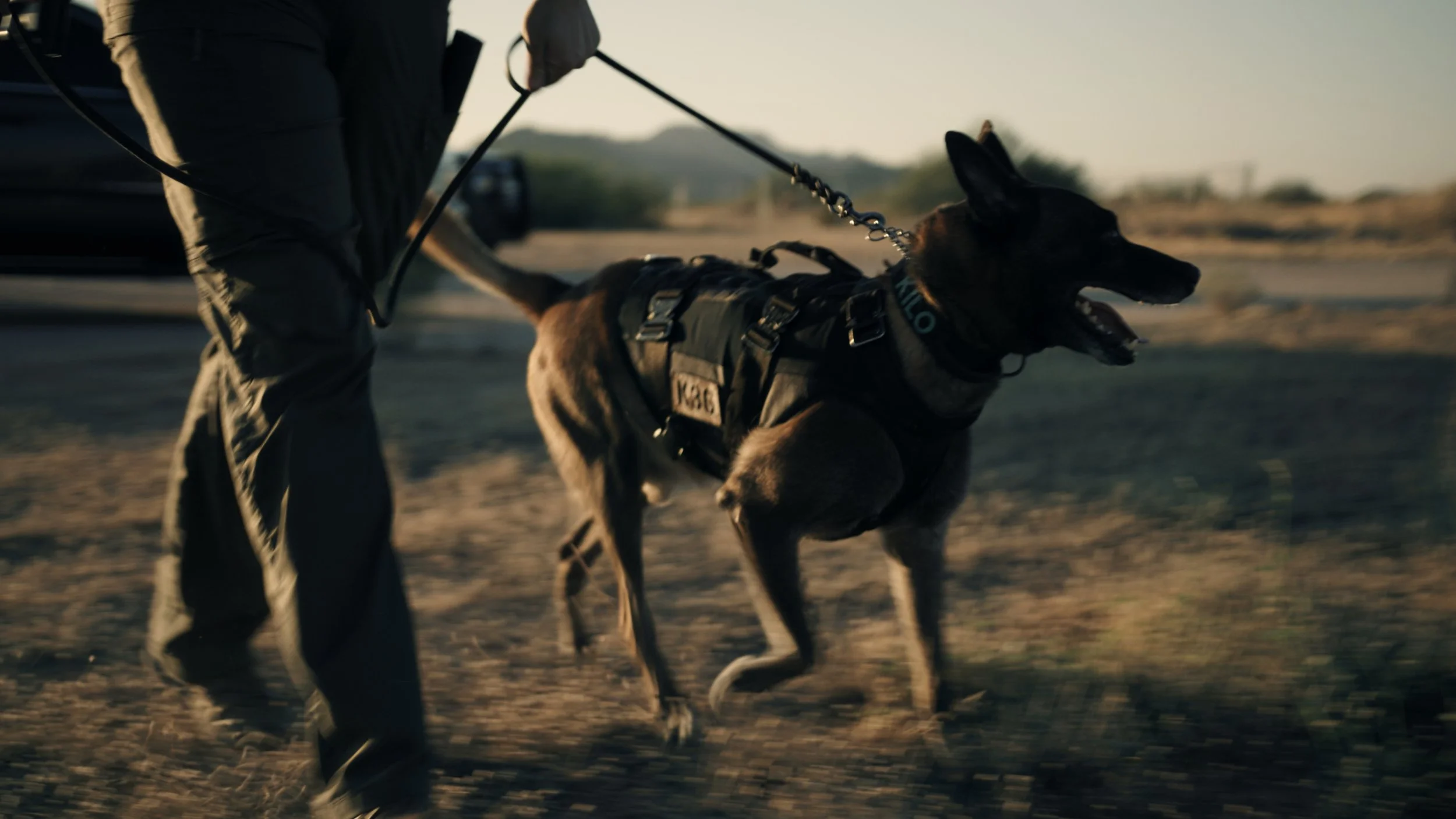 20240826 Gila River PD_C300_T1__1.48.2.jpg