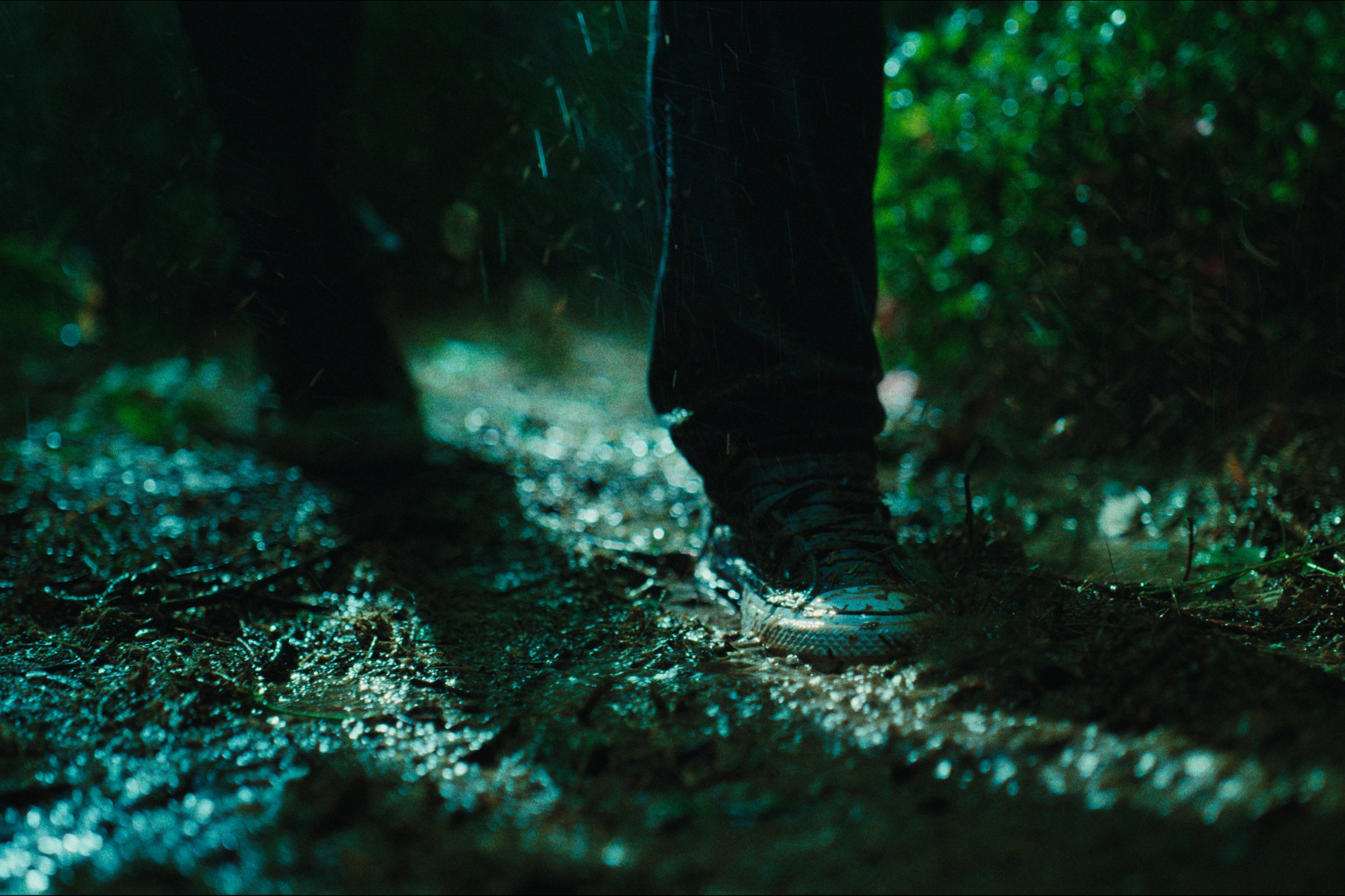 20260309 SDFC_D1_T1__1.199.43.jpg