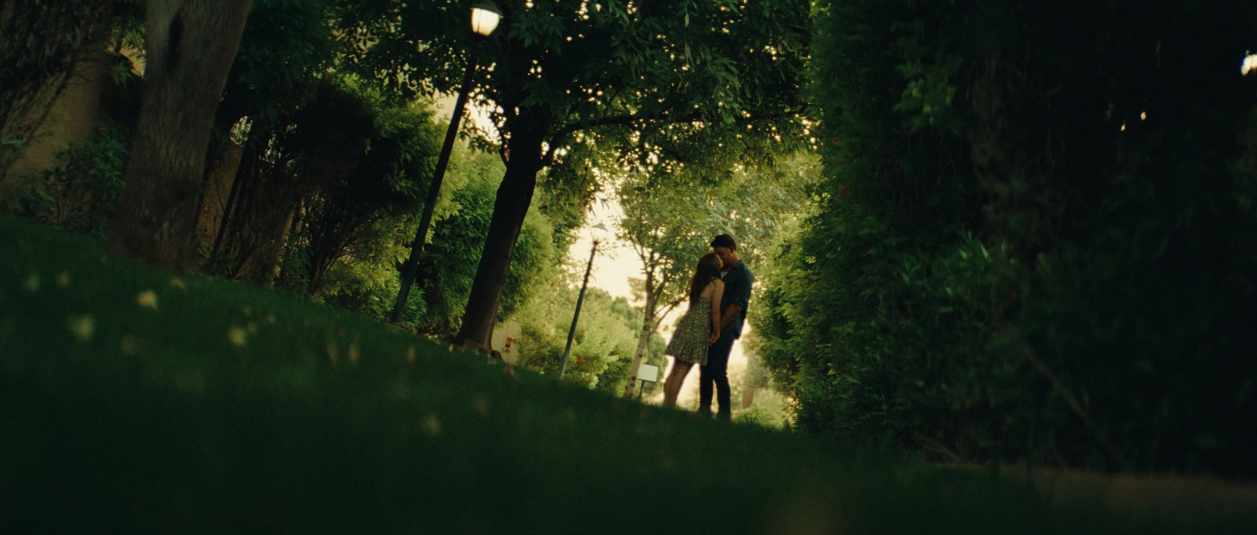 Still 2026-04-20 122815_1.1322.2 copy.jpg