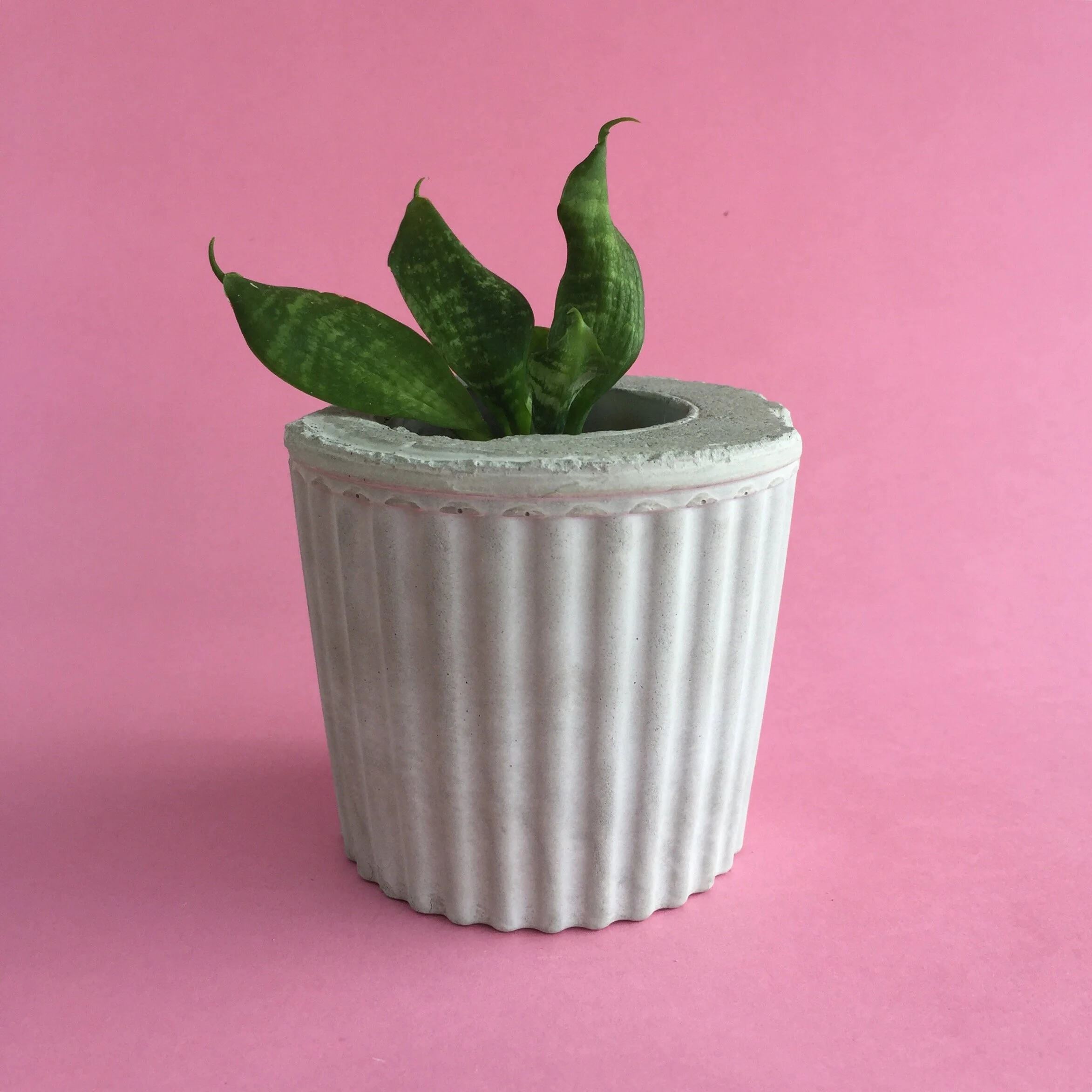 8716C6C5-5710-4764-B7EB-DE041BCB7E8F