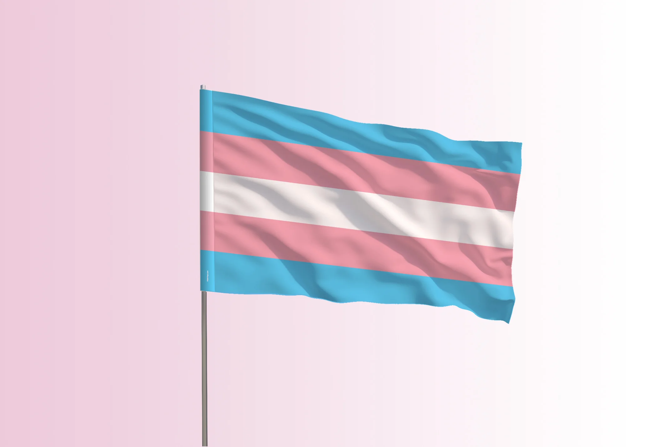 Trans Pride
