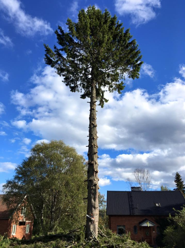 Skärmavbild 2017-03-19 kl. 14.45.48.png
