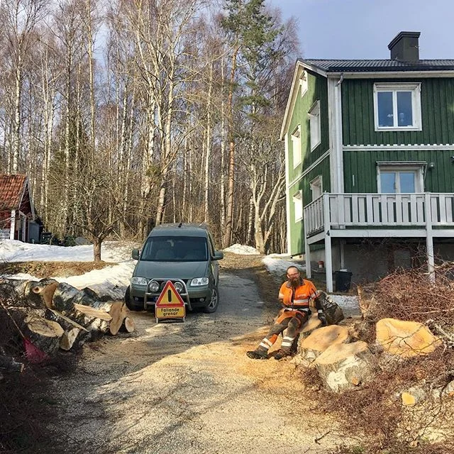 R&auml;tt skylt till r&auml;tt jobb - 'fallande grenar' 🤦🏼&zwj;♂️
