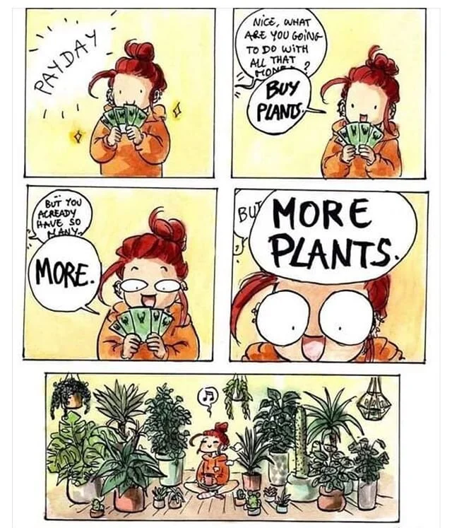 Haha 😂 H&ouml;g igenk&auml;nningsfaktor! Jag har planterat ett 70 tal tr&auml;d o buskar redan p&aring; den bit mark jag k&ouml;pte i Nordingr&aring; 2018. O jag &auml;r r&auml;dd de blir mer 🌳 😁 Glad midvinter p&aring; er o tack f&ouml;r 2019 🙂