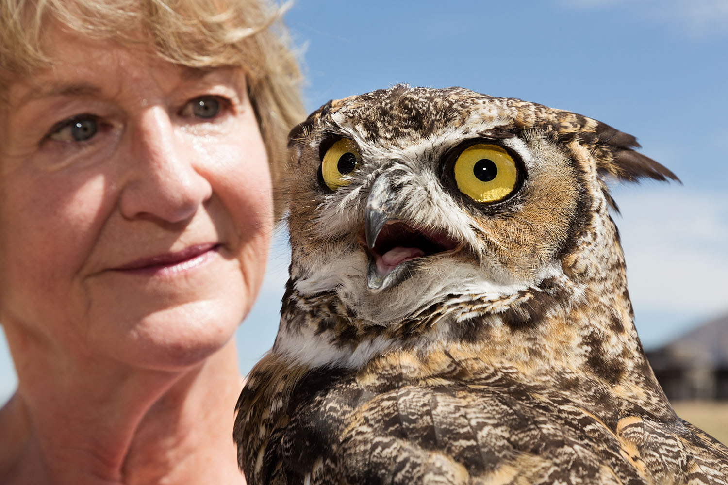 Marilyn with Woodrow, a great horned owl, Wildlife Rescue Inc., Albuquerque, NM, 2013