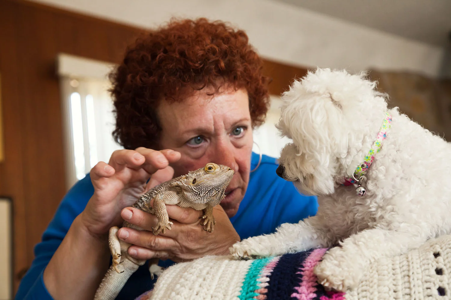 Brandy with bearded dragon and poodle, Carmel Valley, CA, 2011
