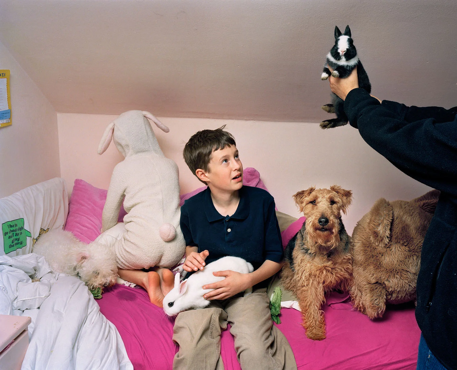 Family with rabbits and dogs, Center Sandwich, NH, 2009