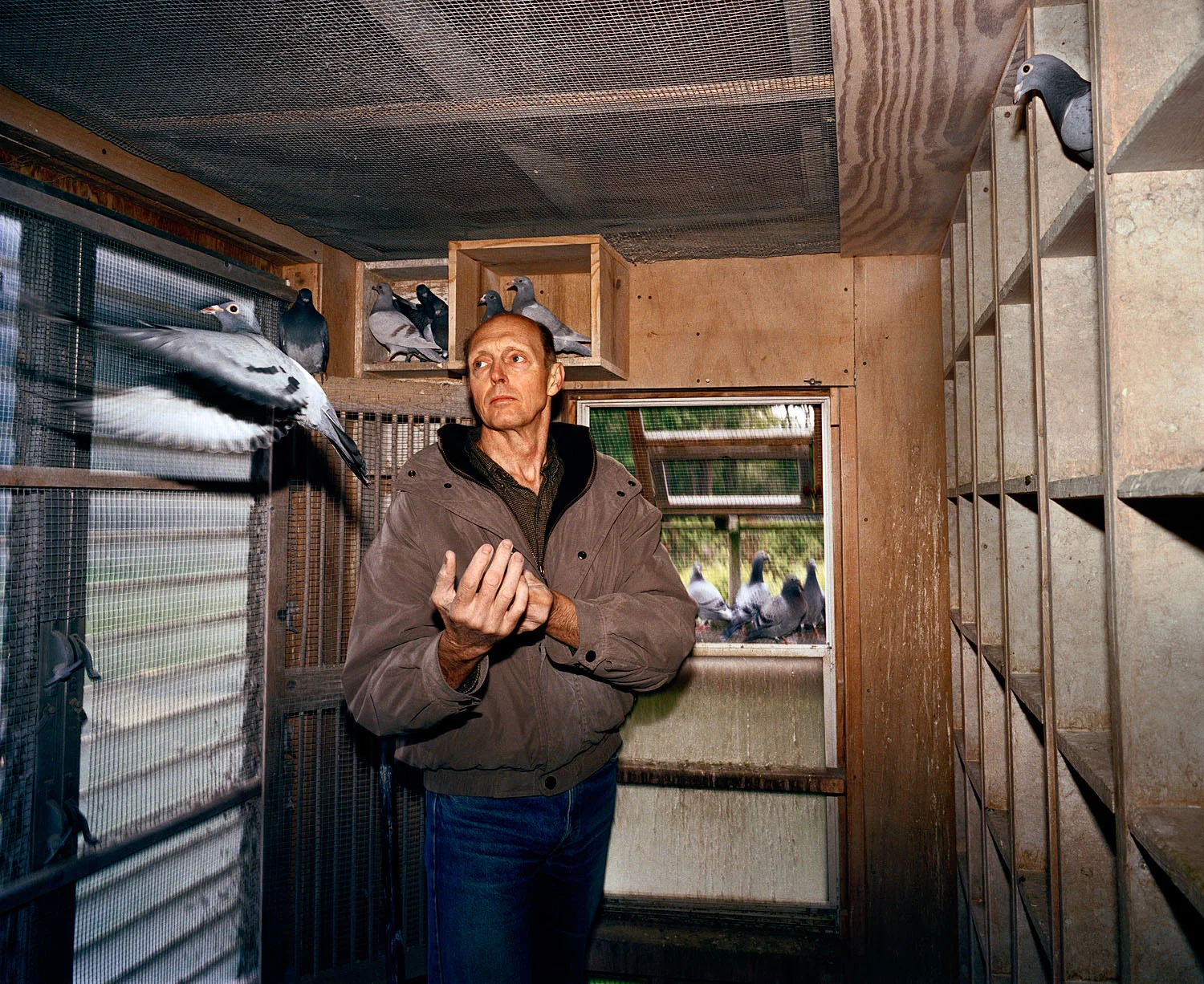 Man with homing pigeons, Weymouth, MA, 2003