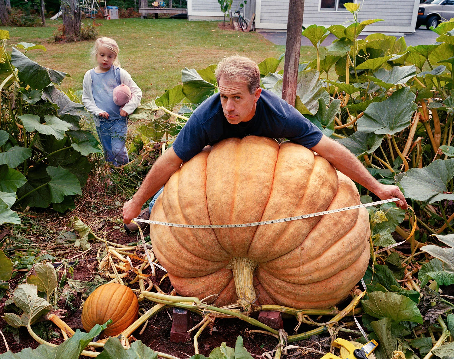 Man with 700 lb. pumpkin (winner at the Sandwich, NH fair), Tuftonboro, NH, 2005