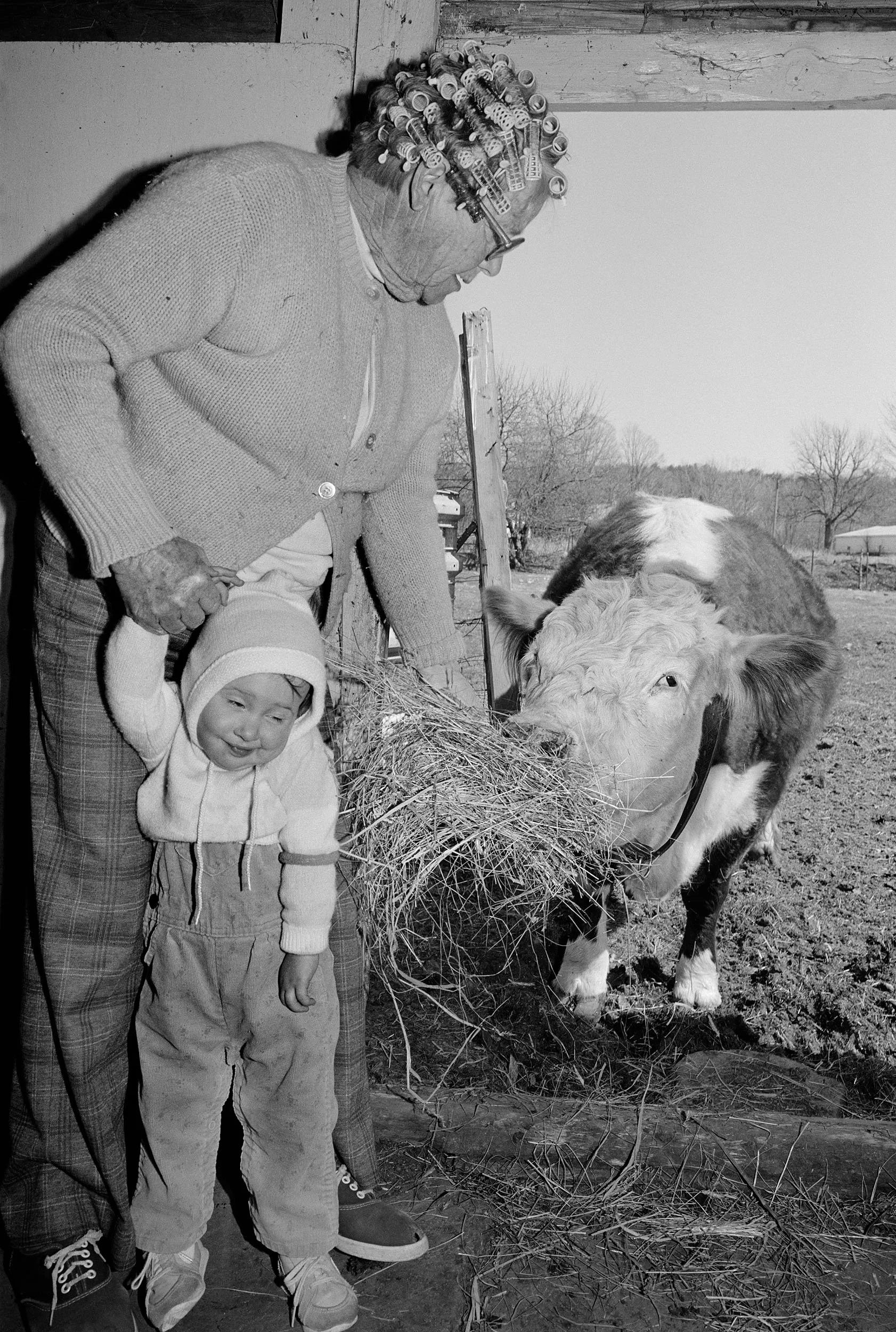 Connecticut, 1986
