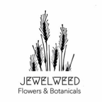 Jewel Weed Flowers &amp; Botanicals