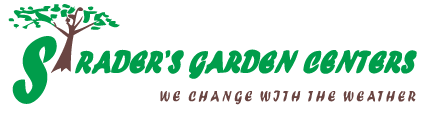 Strader's Garden Center