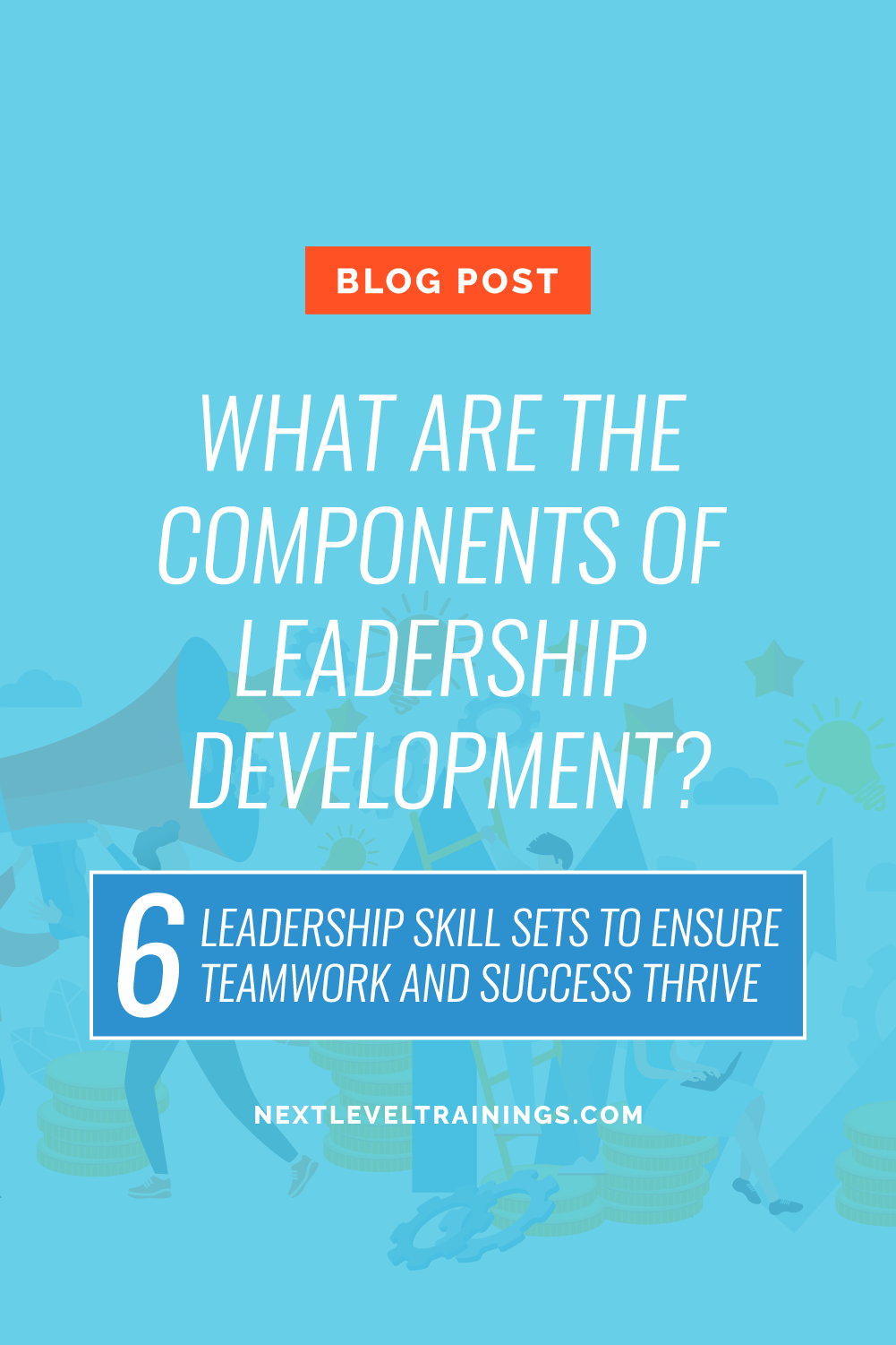 What Are The Components Of Leadership Development — Next Level Trainings