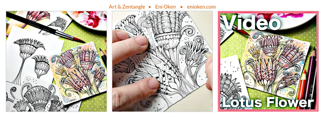 3d Lotus Flower Video Lesson Eni Oken