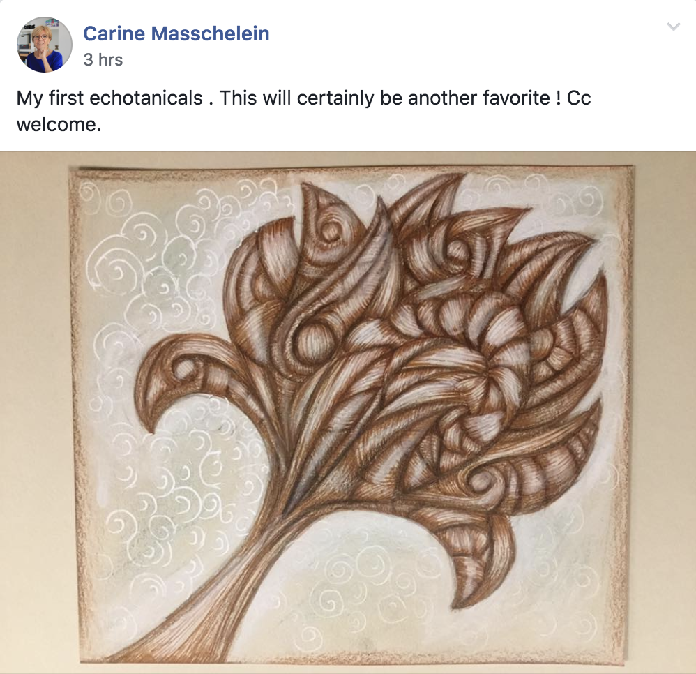 Screenshot 2019-01-04 12.18.51.png