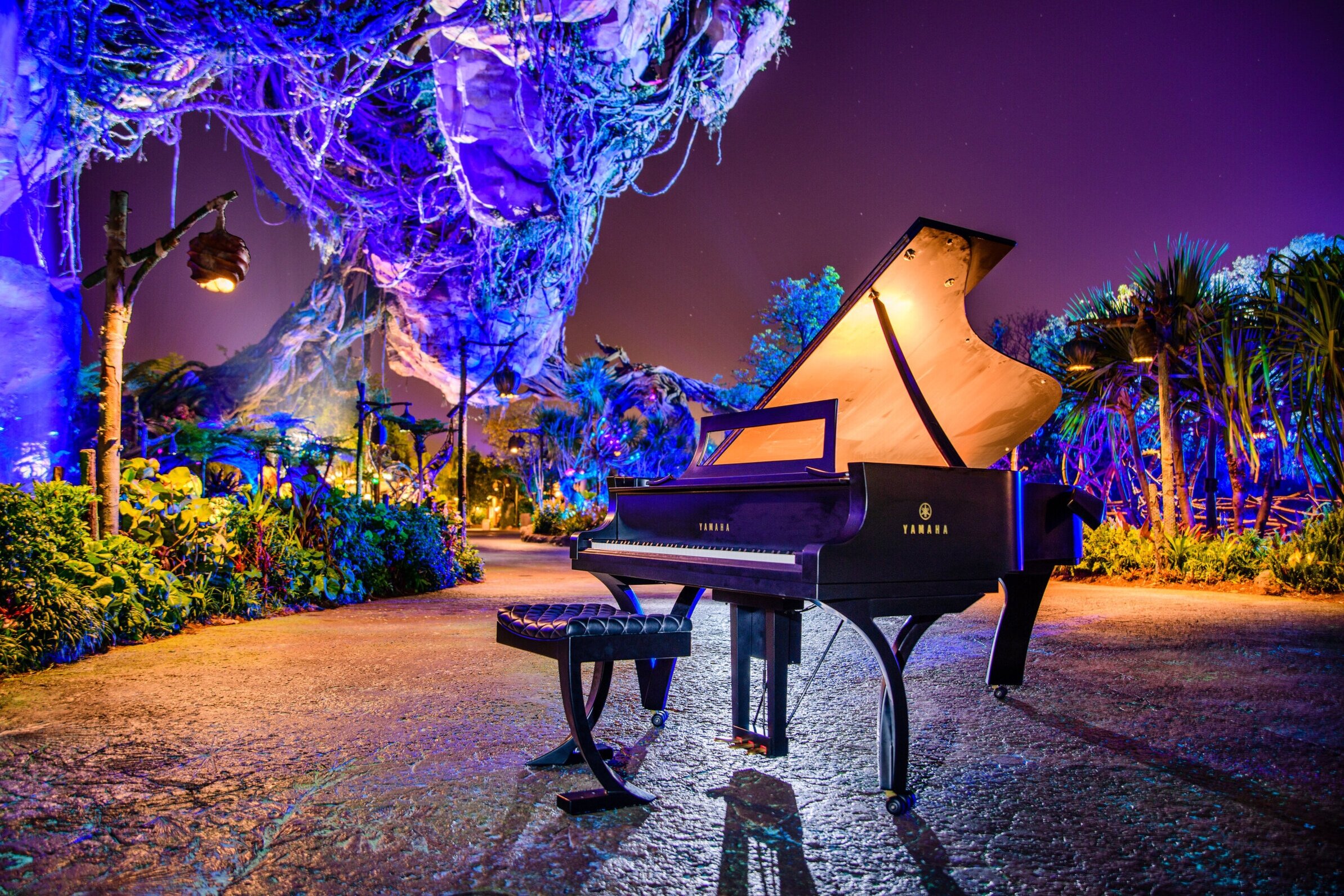 disney-avatar-the-piano-guys-j-elliott-co.jpg