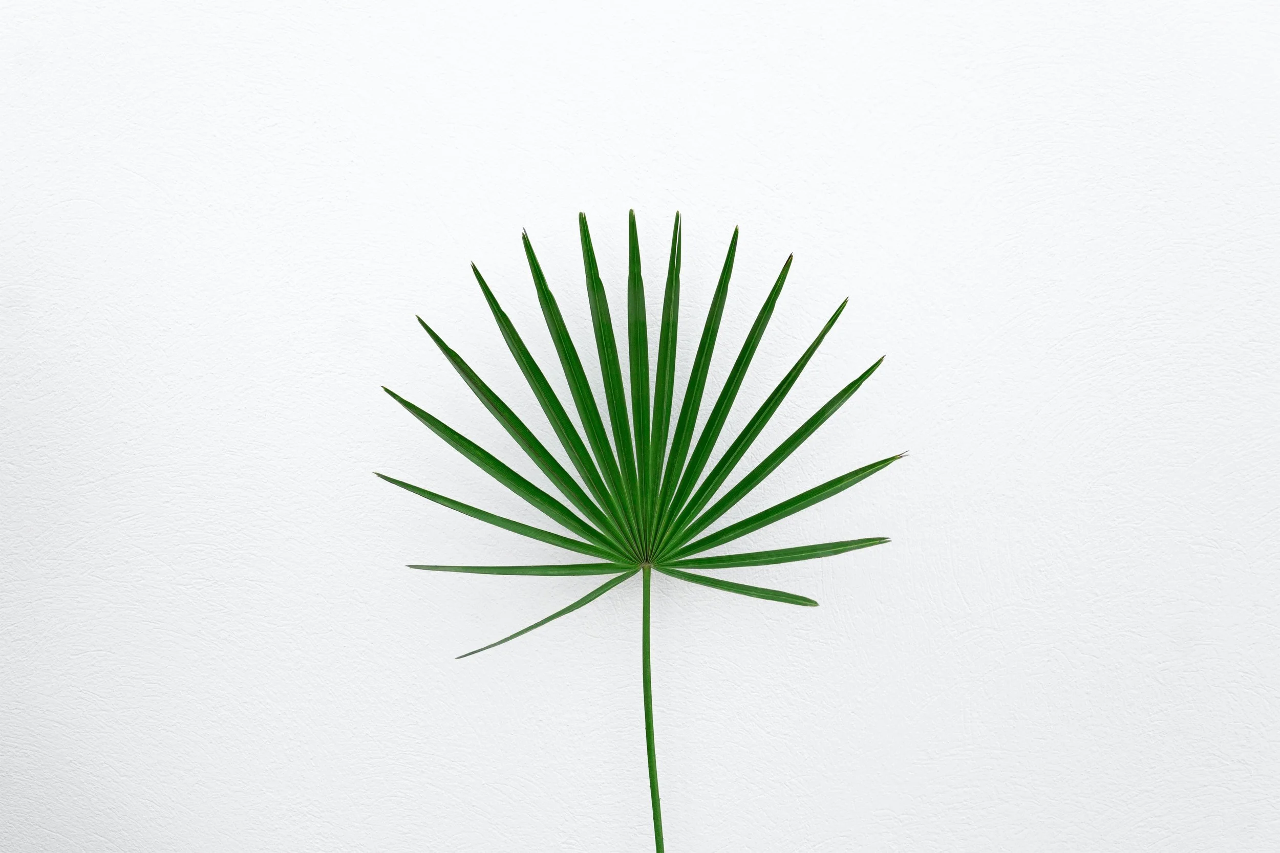 agata-create-4SbDro9ND5c-unsplash.jpg