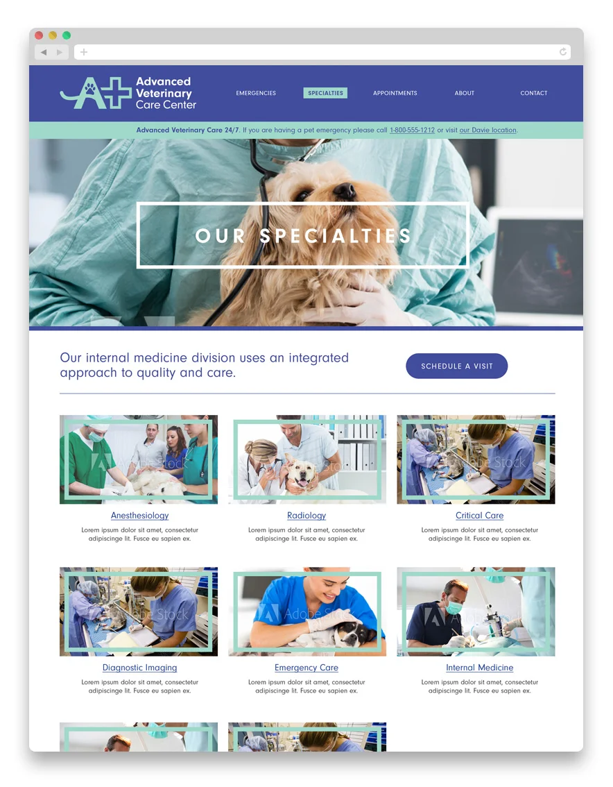 AVCC-WEB-01.jpg