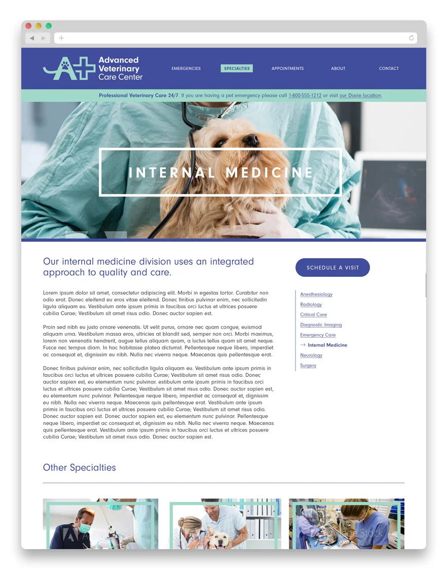 AVCC-WEB-02.jpg