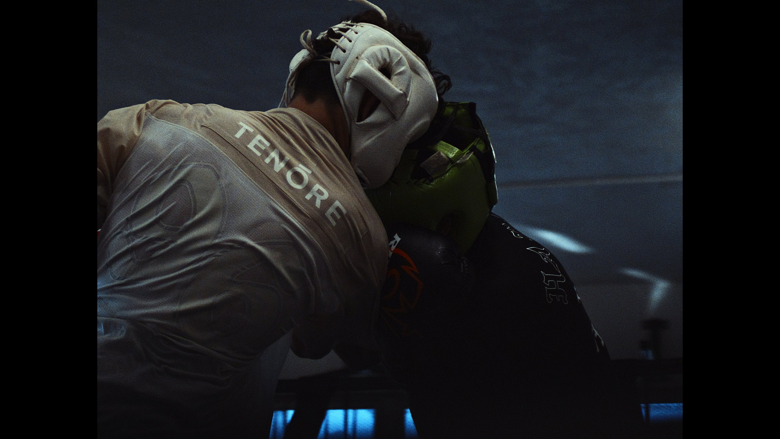 Tenore_BR_Frames_2.48.1.jpg