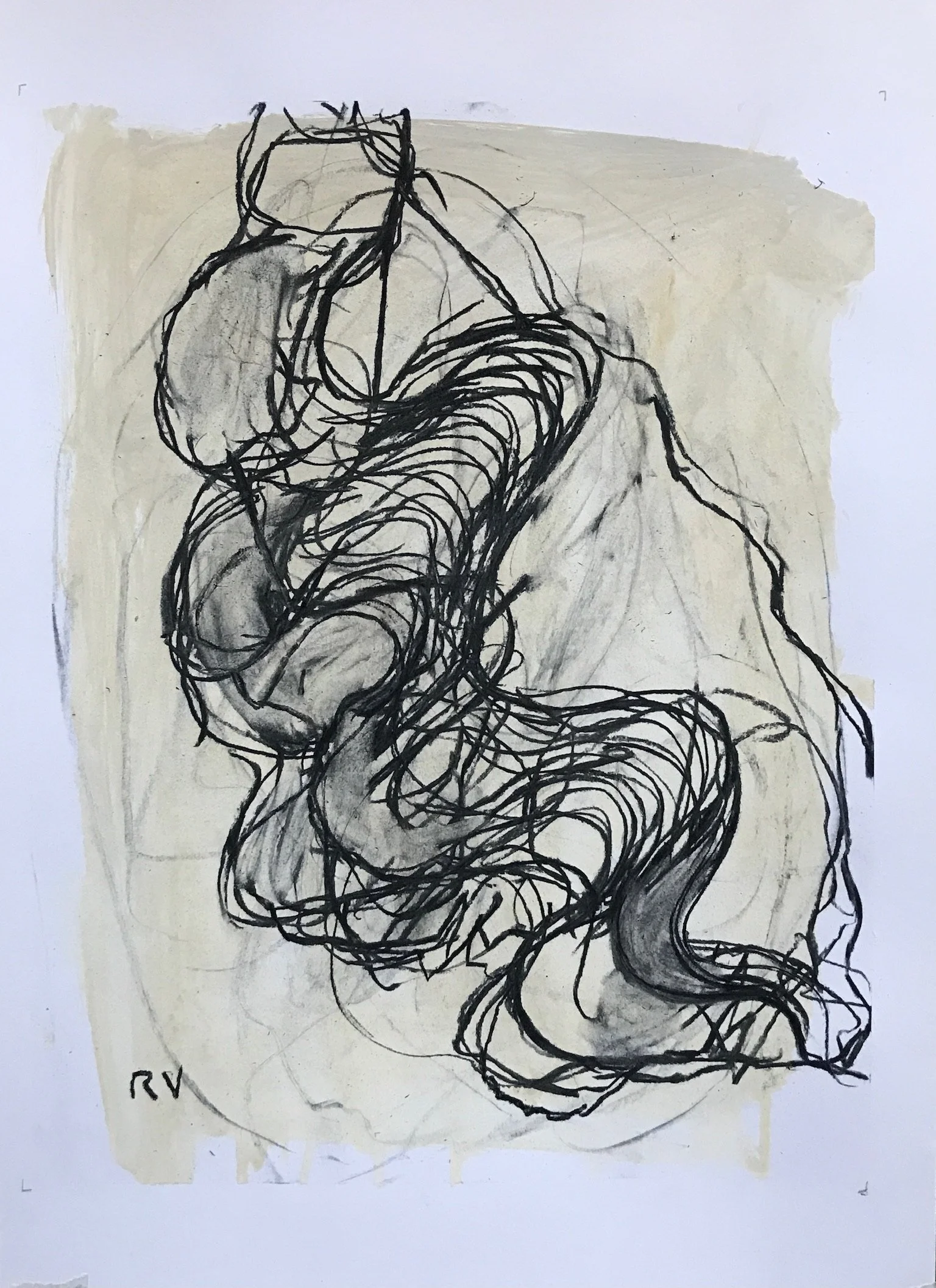 019b14d91b64cb983715d721cc77ec13e3a9a9cca8.jpg