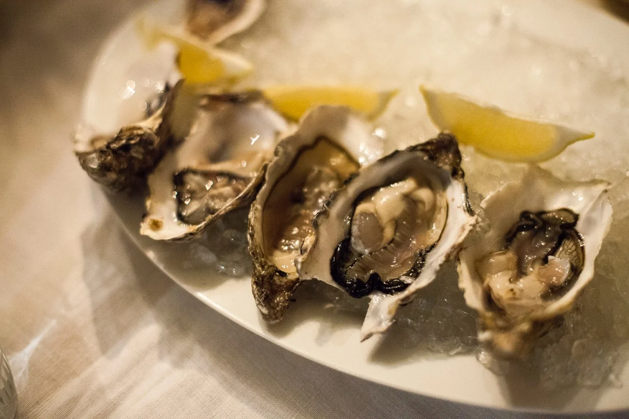 season  - Jeremy Freedman 2016_5.jpeg