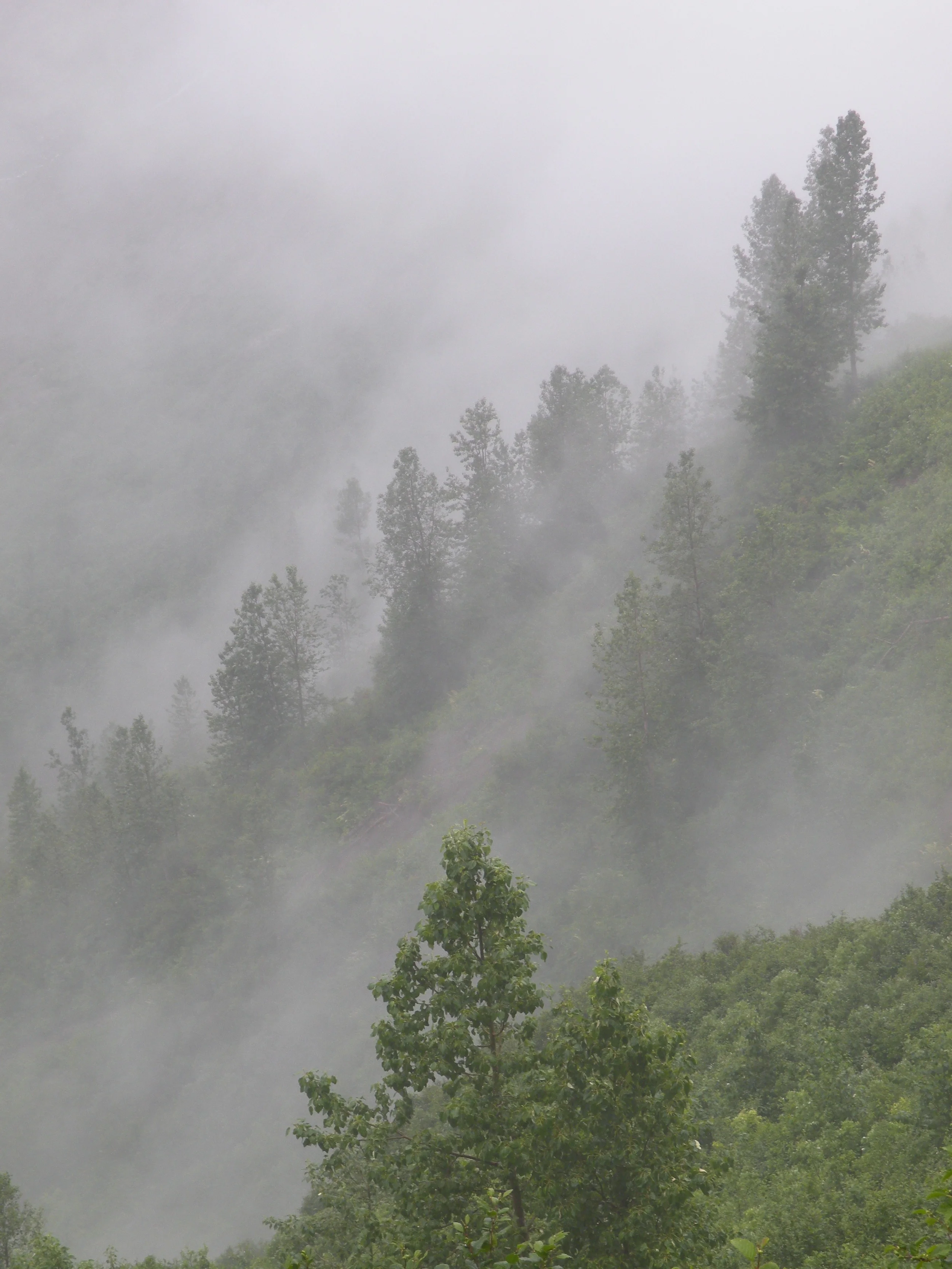 Salmon glacier enveloped in fog.