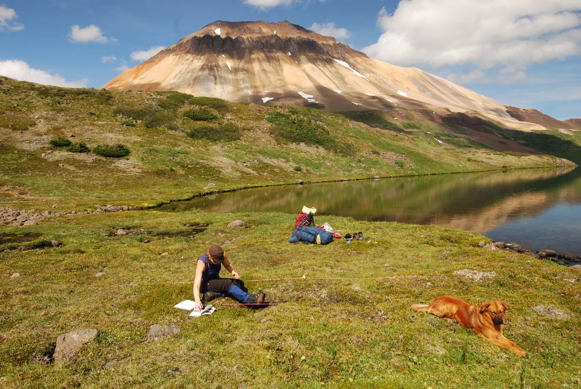 First plant survey of the 120 km transect