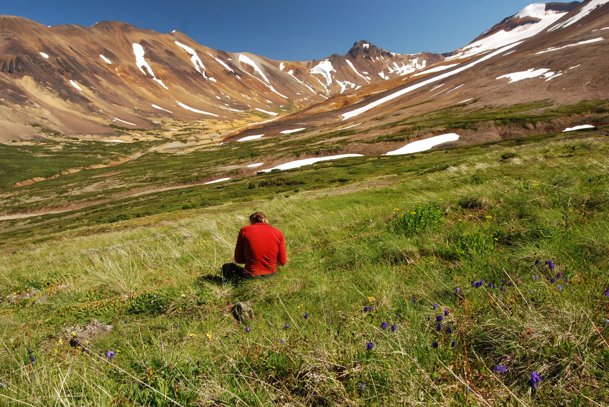 High alpine grasslands, photo by Alex Buri