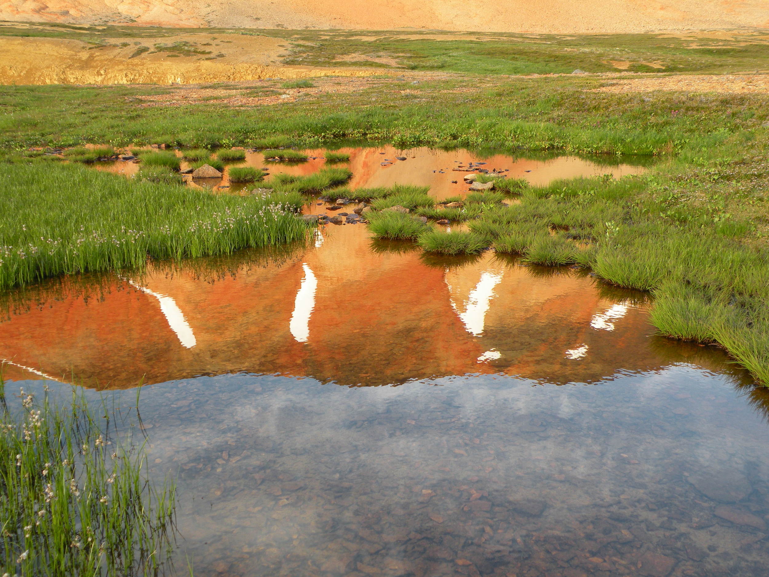 Reflection of the Spectrum range