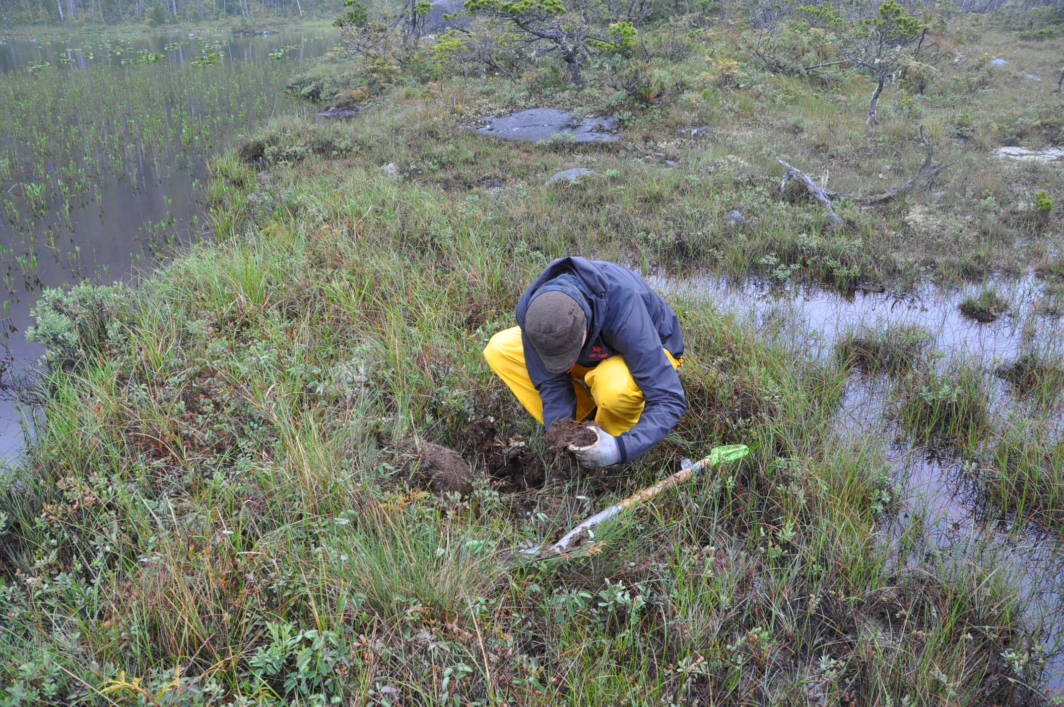 Looking for evidence of ancient fires. 