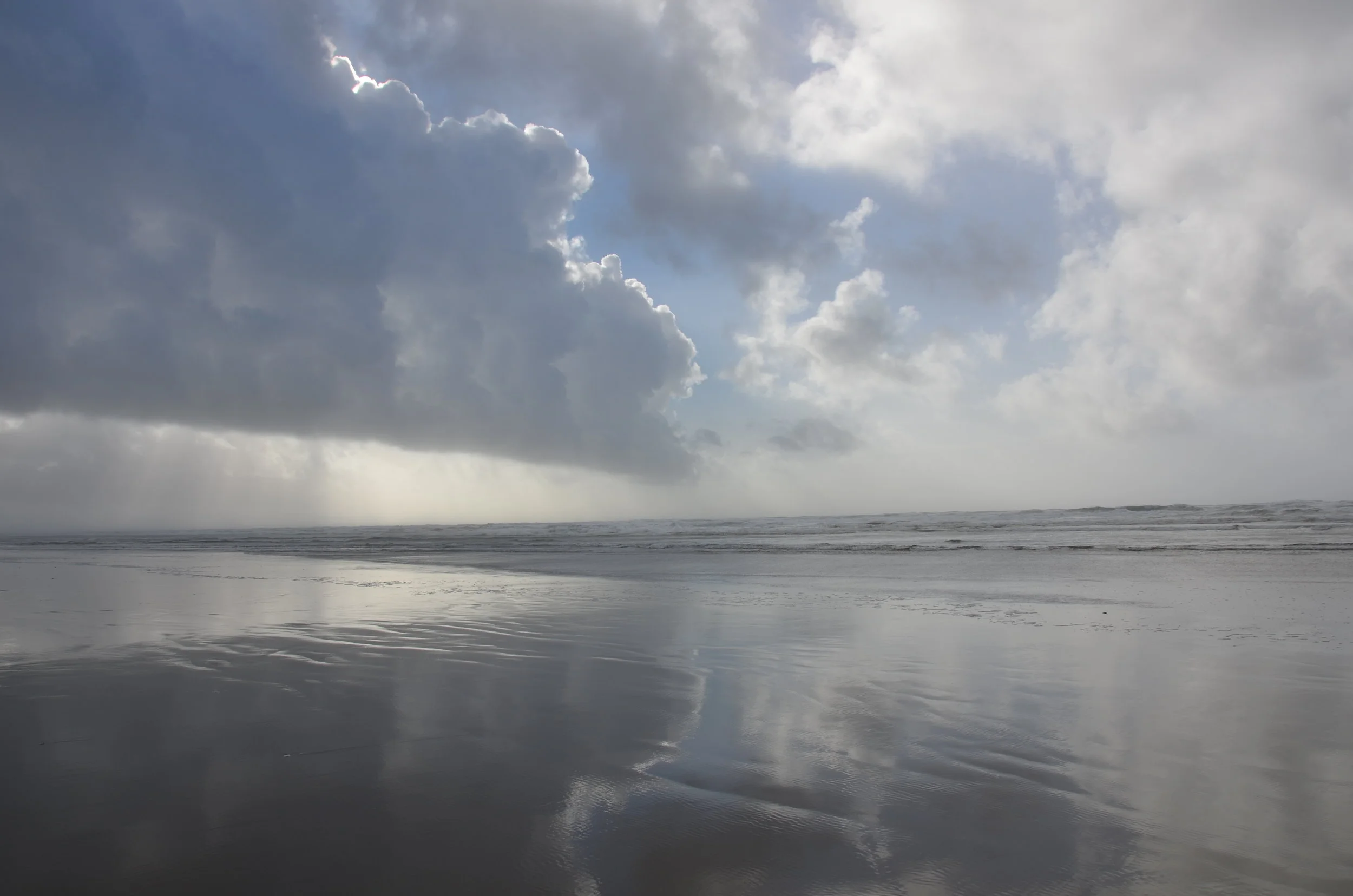DSC_8768.JPG