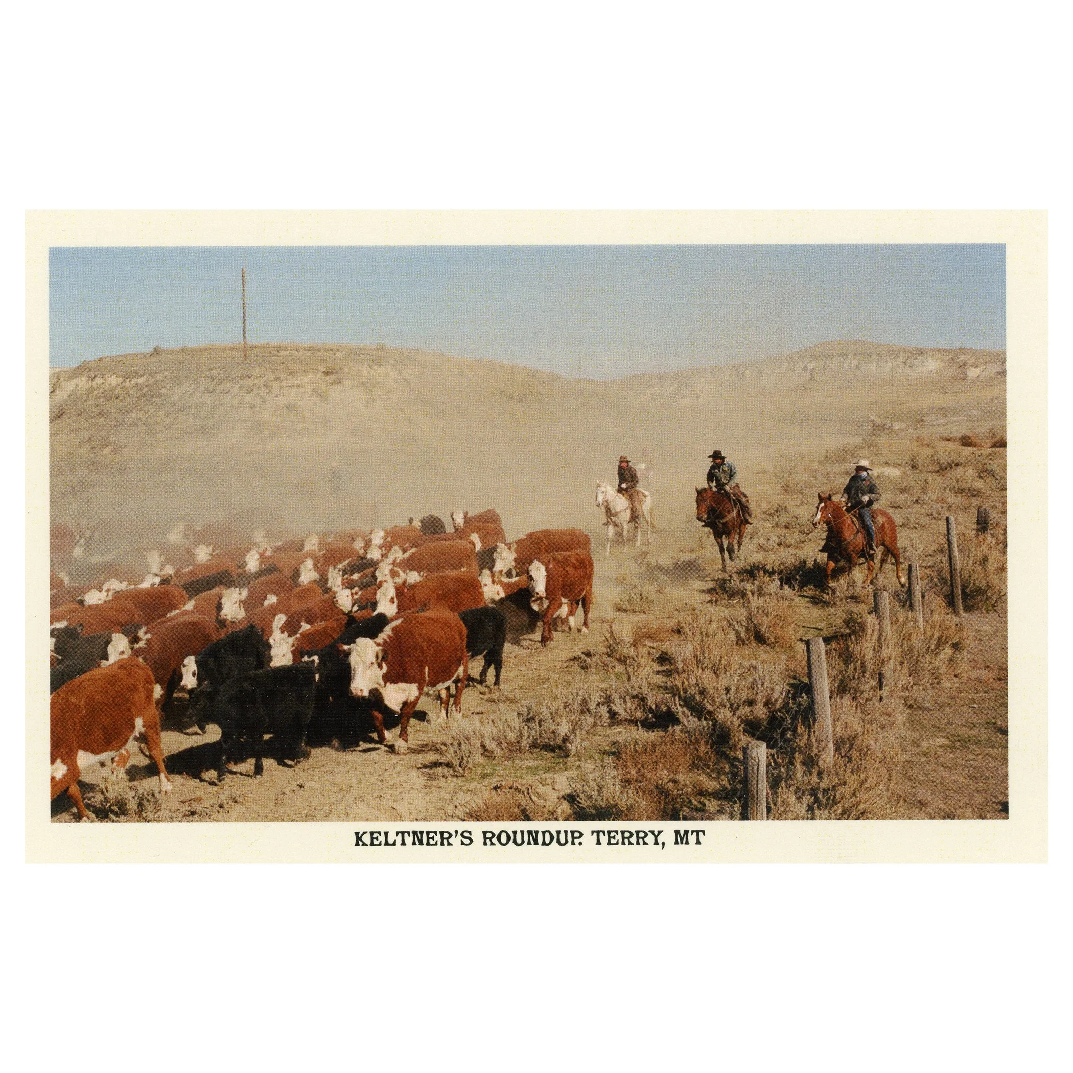 Keltner's Roundup. Terry, Mt