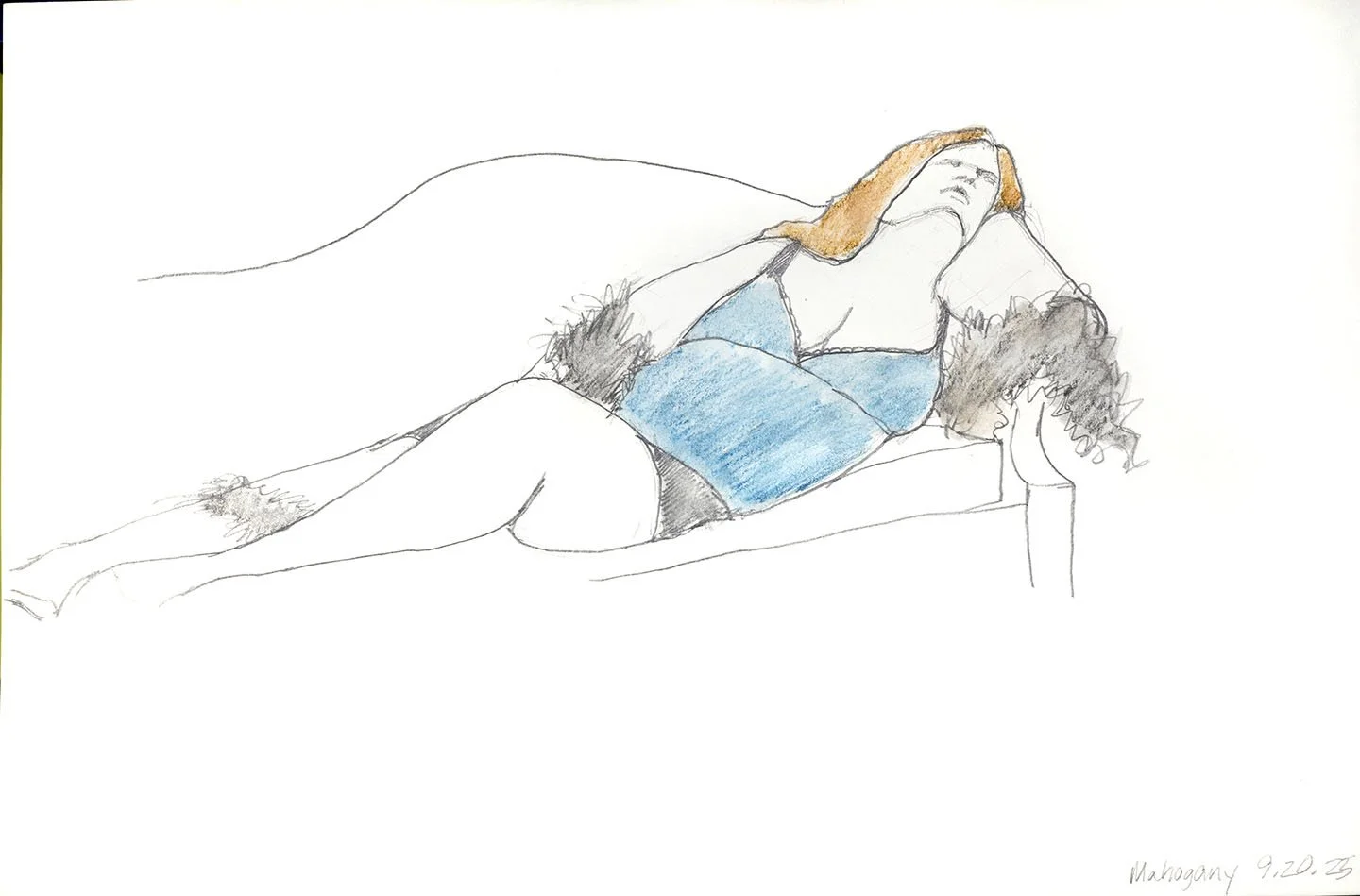 Mahogany 1   
2025   
graphite and colored pencil   
12” w x 18 h” unframed  
14”w x 20” h framed   
$300