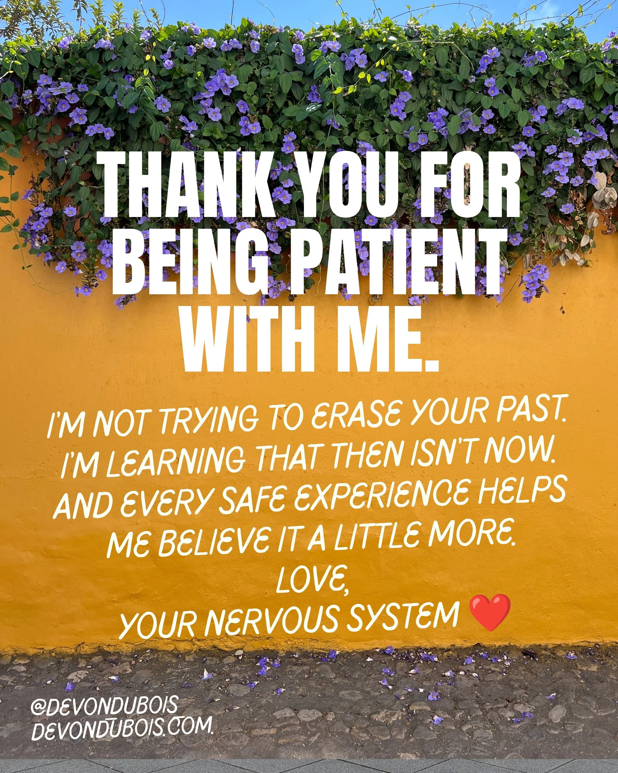 Devon DuBois, EMDR 17.jpg
