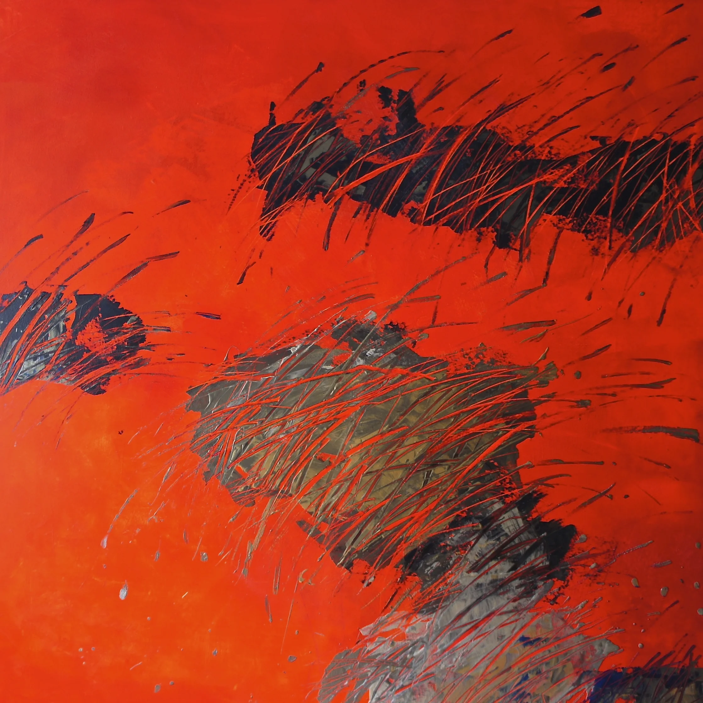 DSC00039 - Version 2.jpg