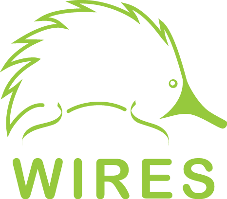 WIRES Wildlife Rescue Australia