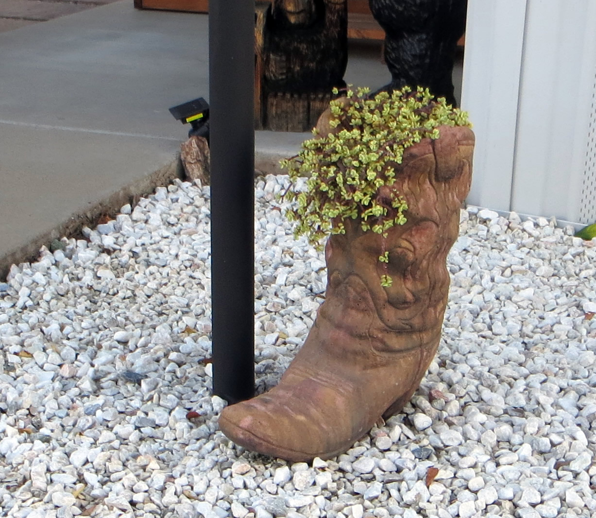 Boot-1134.jpg