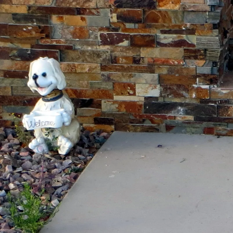Pup-1123.jpg
