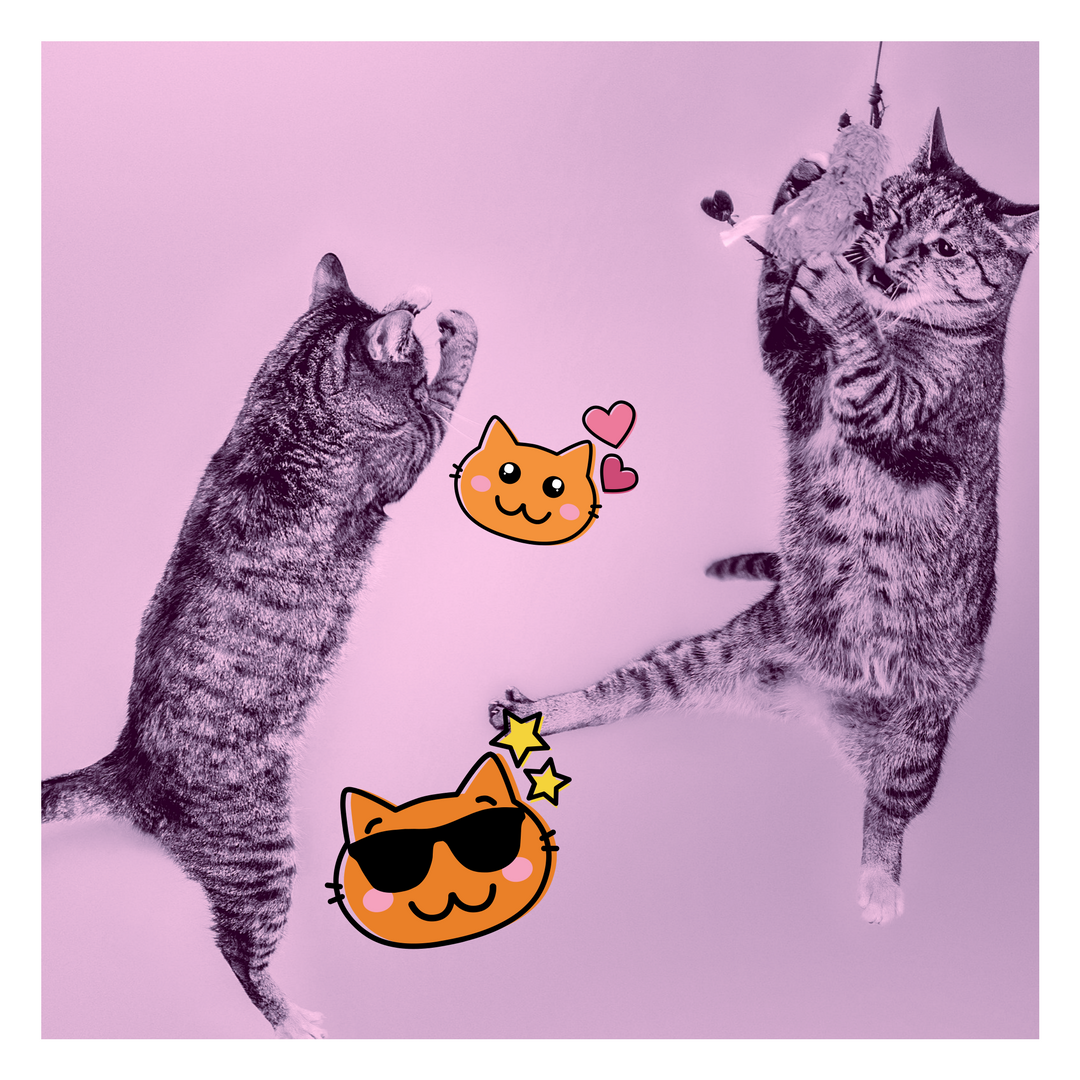 Ruutujen välisestä ystävyydestä